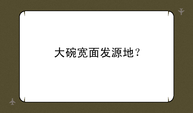 大碗宽面发源地？