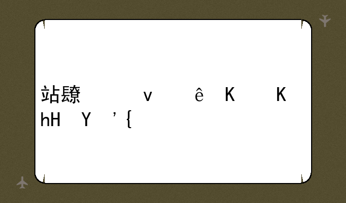 站长统计什么意思？