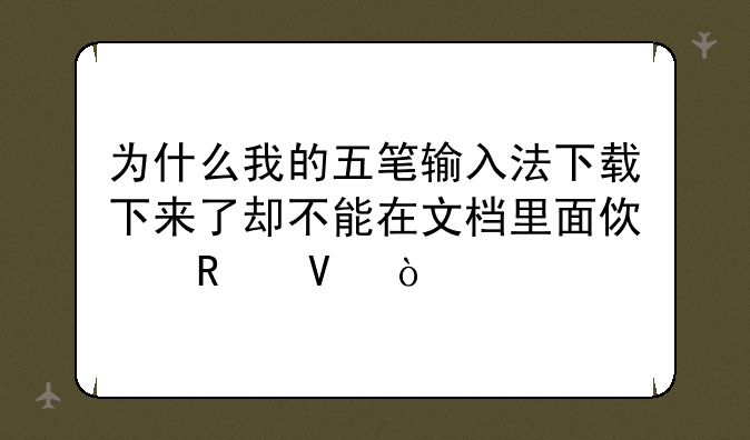 为什么我的五笔输入法下载下来了却不能在文档里面使用啊？