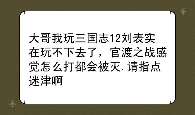 大哥我玩三国志12刘表实在玩不下